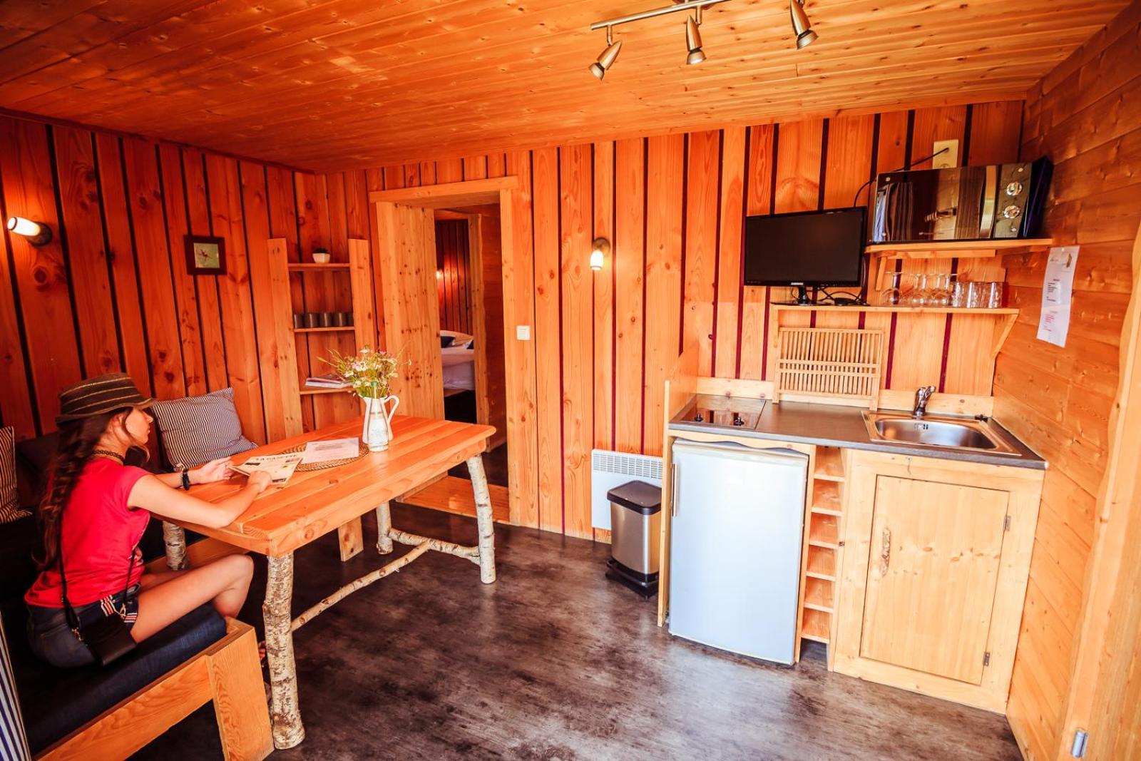 Saint-Pierre-le-Chastel Les Volca'Lodges De Tournebise מראה חיצוני תמונה