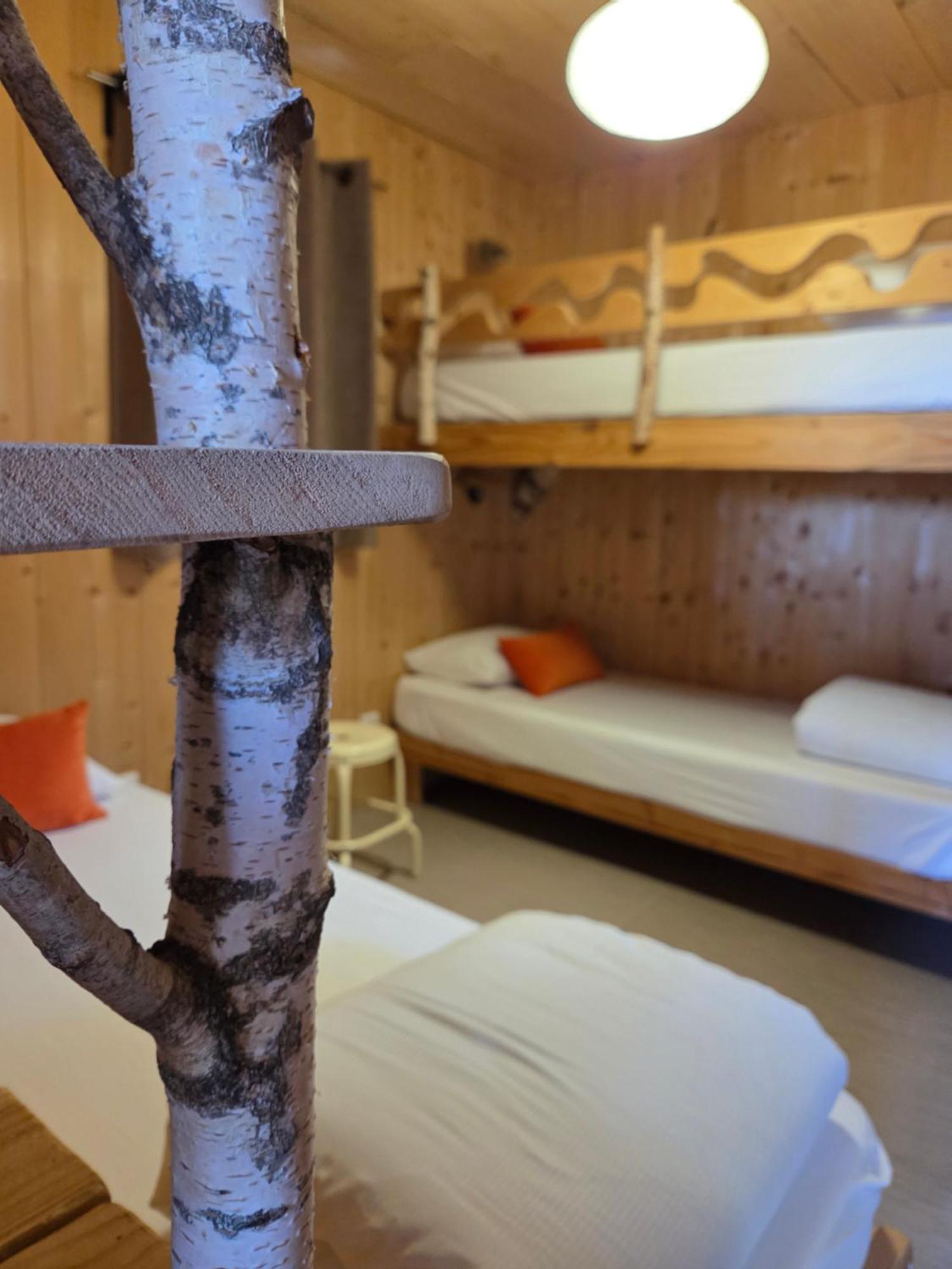 Saint-Pierre-le-Chastel Les Volca'Lodges De Tournebise מראה חיצוני תמונה